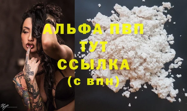 сатива Россошь
