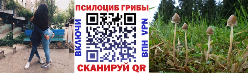купить   Энем  Галлюциногенные грибы прущие грибы 
